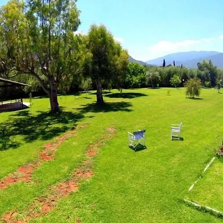 فندق Sami Beach Hotel